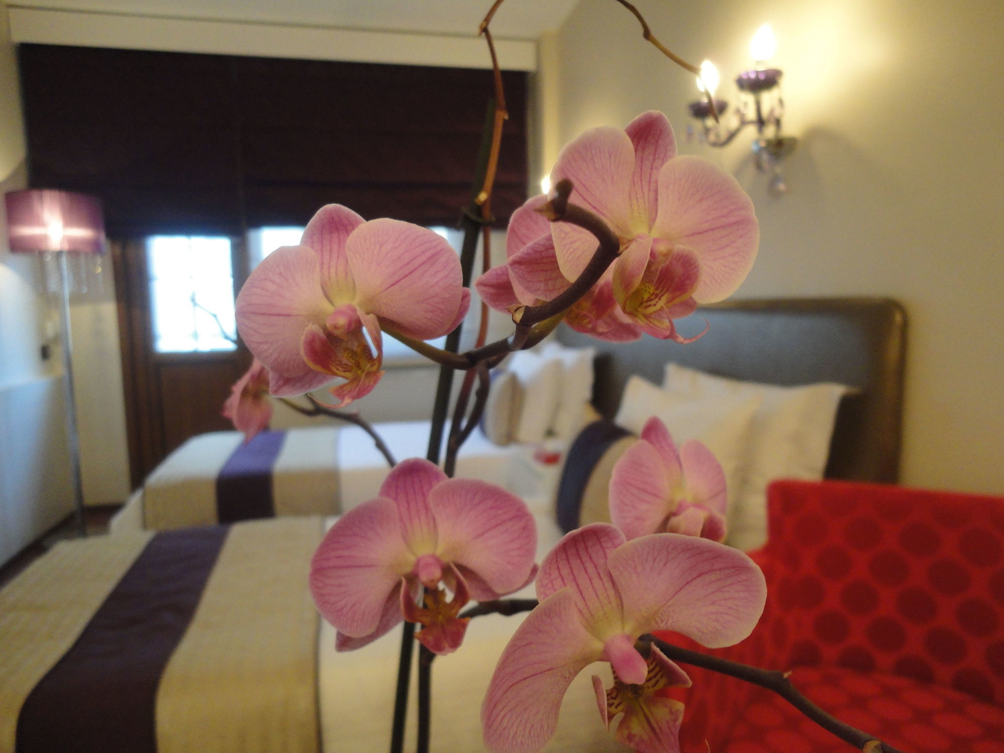 Bakirkoy Tashan Business & Airport Hotel Истанбул Екстериор снимка