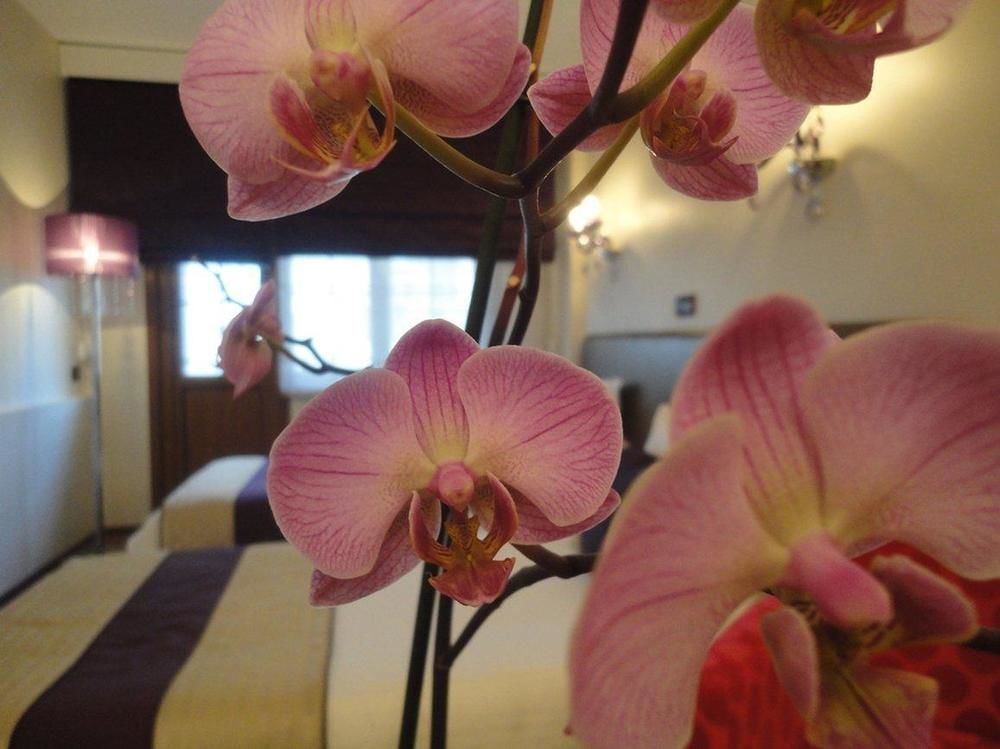 Bakirkoy Tashan Business & Airport Hotel Истанбул Екстериор снимка